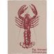 Кухонное полотенце Lobster, 70х50 см, хлопок, песочный, Batela